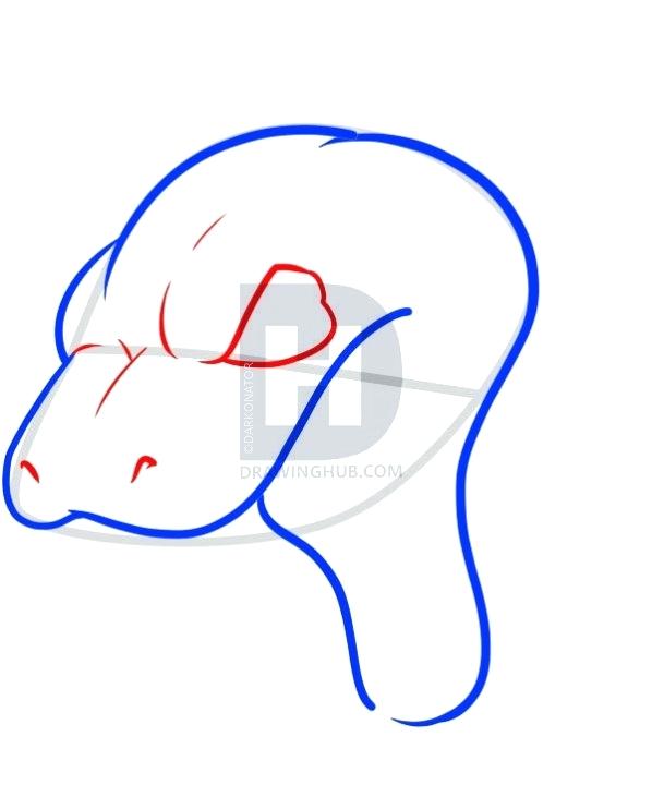 598x720 How To Draw A Snake Step