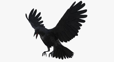 473x256 Crow Rigged Model Animals Animals, Animal Drawings, Wolf