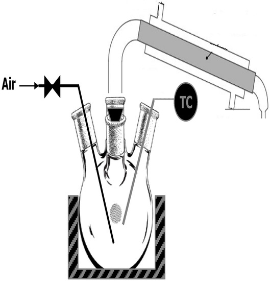 529x550 Sustainability Special Issue Waste To Value