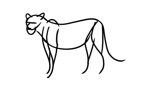 600x342 How To Start A Drawing Methods For Beginners