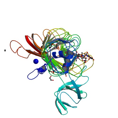 500x500 Rcsb Pdb
