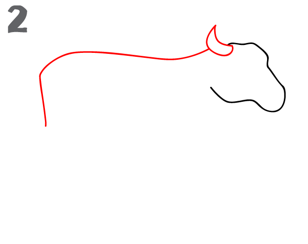 624x494 How To Draw A Cow