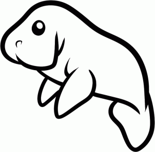 302x297 Manatee Coloring Pages How To Draw A Manatee For Kids Step
