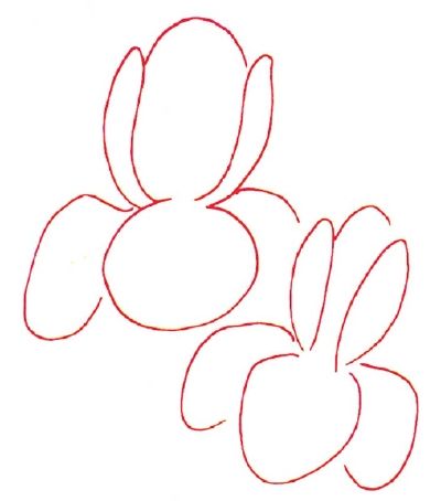 400x454 how to draw an iris in steps learn to draw in iris