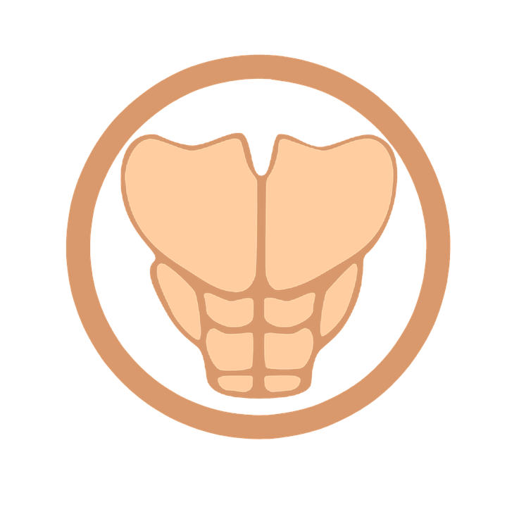 720x720 Collection Of Free Drawing Abs Extreme Download On Ui Ex