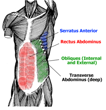 357x368 Get Your Six Pack Abs Target All Ab Areas Get Lean After Blog