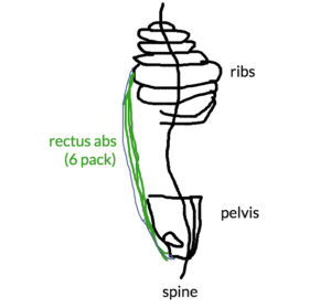 300x278 How Your Core Strength Yoga