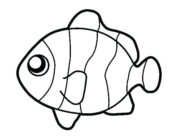 600x470 Fish Colouring Pages Free Printable Seven Days Of Creation