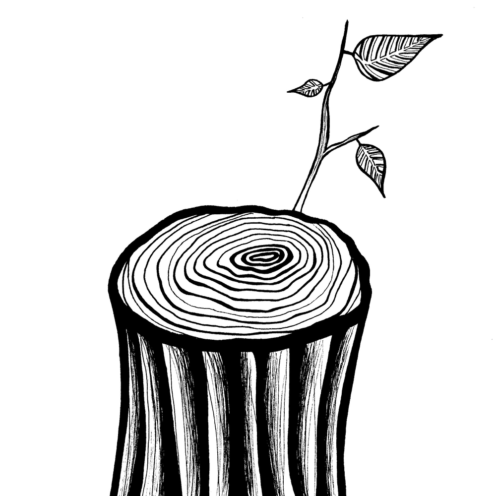 1000x1000 drawings sophie sarkar