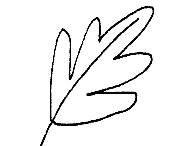 600x472 Ways To Draw Fall Leaves Dawn Nicole