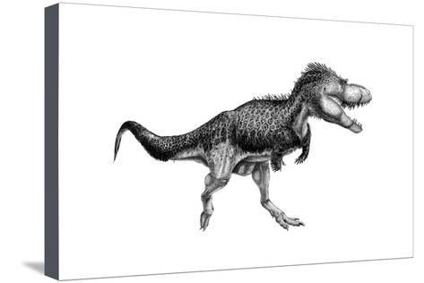 473x316 Black Ink Drawing Of Albertosaurus Sarcophagus Print