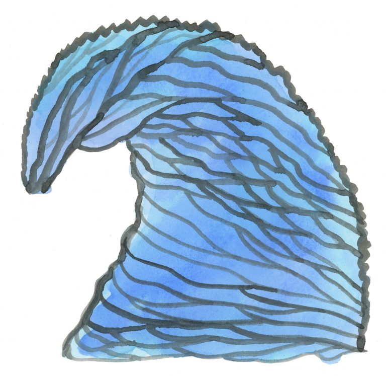 768x747 The Selby Illustrations The Selby