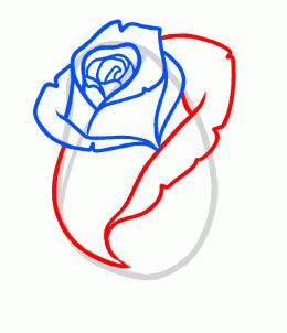 260x302 Draw A Rose Bud, Rose Bud, Step