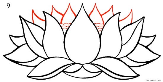 550x277 How To Draw Lotus Flower