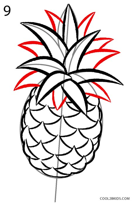 450x687 How To Draw A Pineapple
