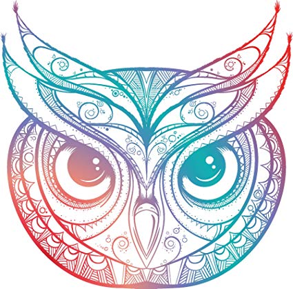 425x419 Beautiful Rainbow Ombre Henna Pattern Owl Drawing