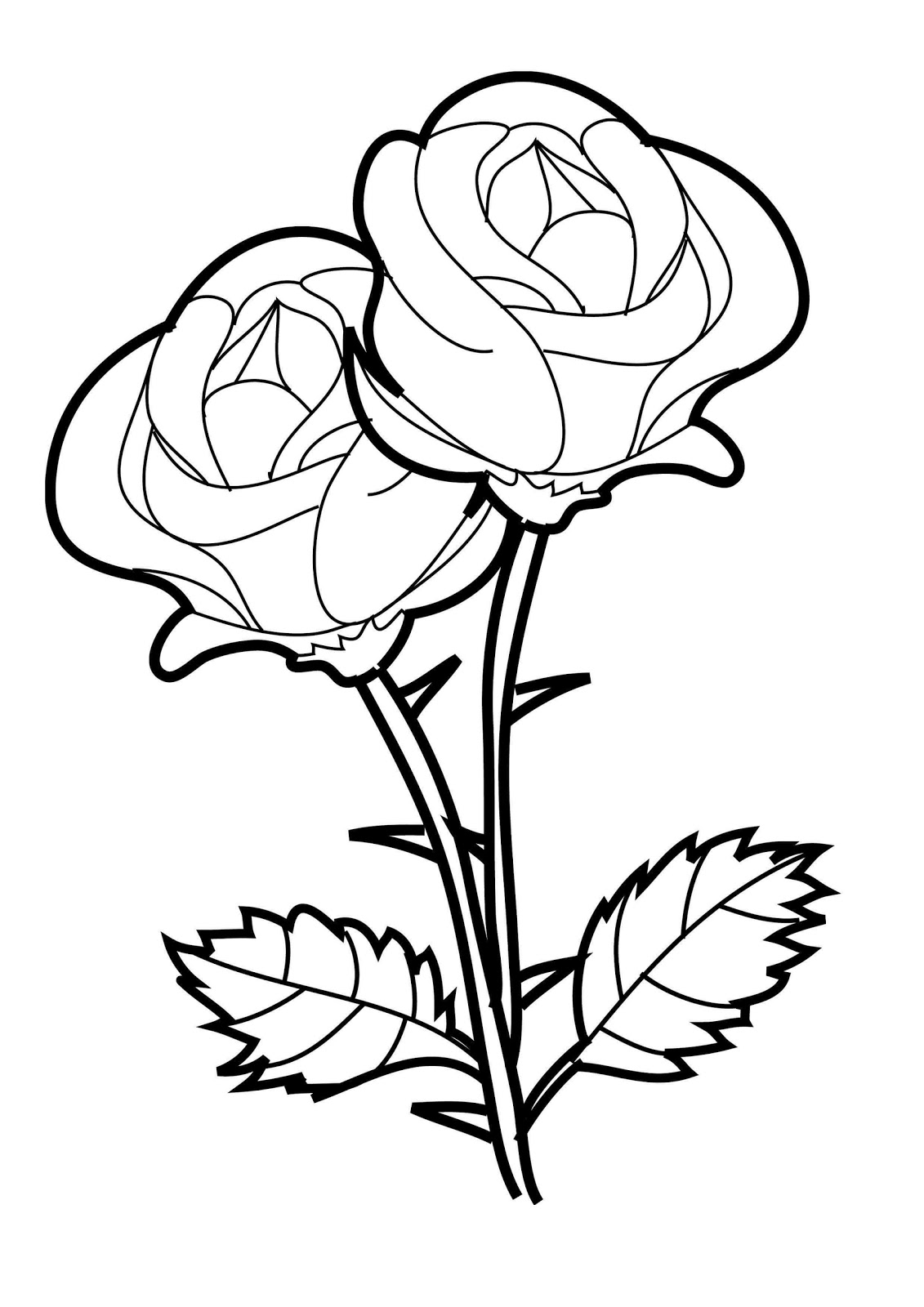 1131x1600 Top Beautiful Rose Coloring Pages Drawing