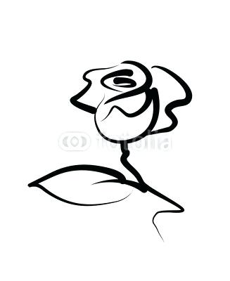 327x400 Beautiful Rose Sketch