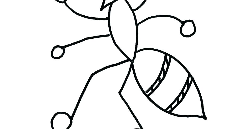 960x544 anteater coloring