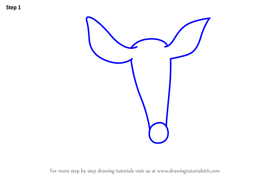 848x602 Learn How To Draw An Aardvark For Kids