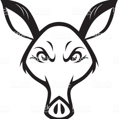 400x400 aardvark