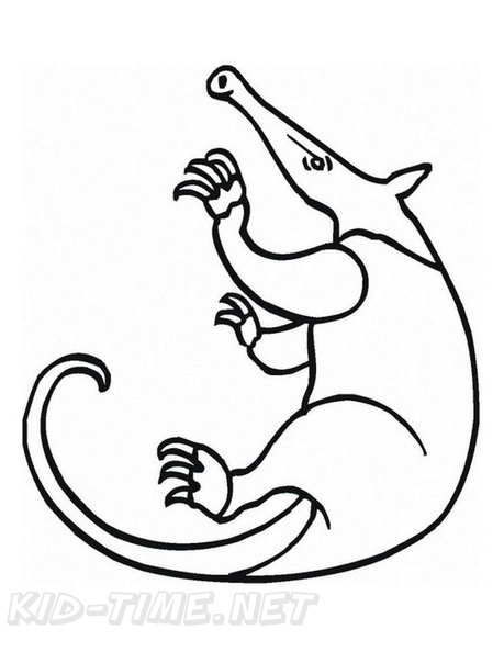459x594 Aardvark Coloring Book