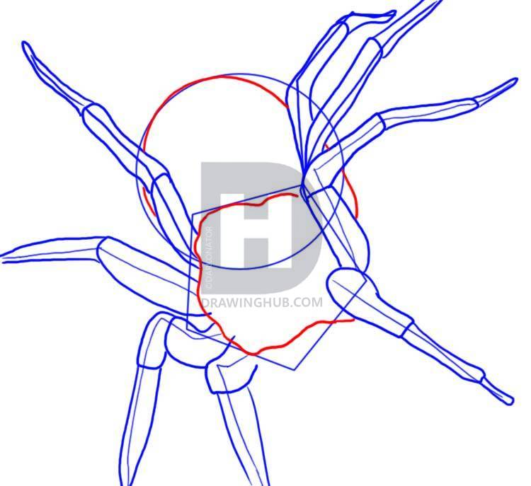 750x687 How To Draw A Spider, Step
