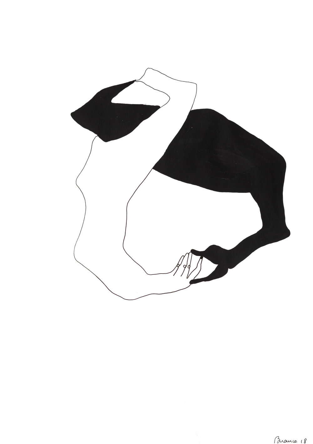 1000x1417 Drawing Branca Cuvier