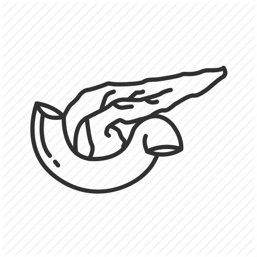 512x512 Digestive System, Endocrine Gland, Exocrine Gland, Glandular Organ