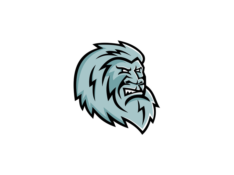800x600 Yeti Head Mascot