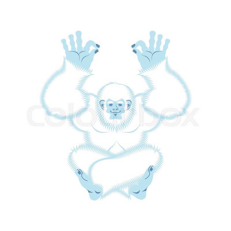 800x800 Yeti Yoga Bigfoot Yogi Abominable Stock Vector Colourbox
