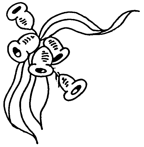 554x566 Girl Guides Clip Art Drawings, Art