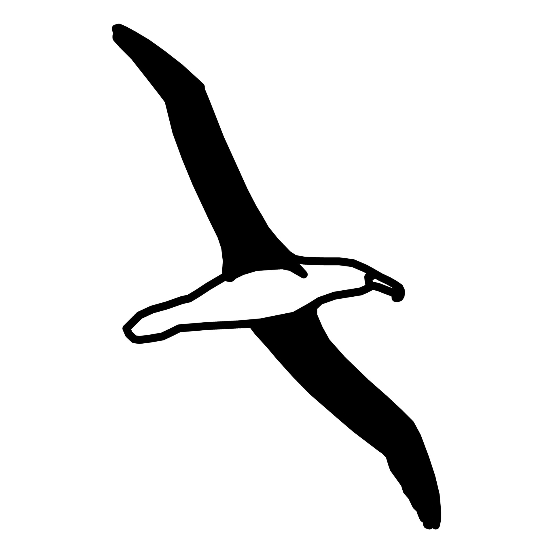 1920x1920 Bird, Decoration, Feathers, Outline, Tattoo