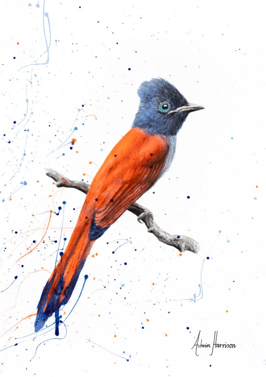 847x1200 Bird Of Sunsets Artwork Cat Painting