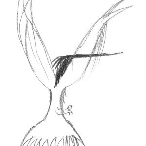 300x300 Black White Sketch Abstract Bird Art Print