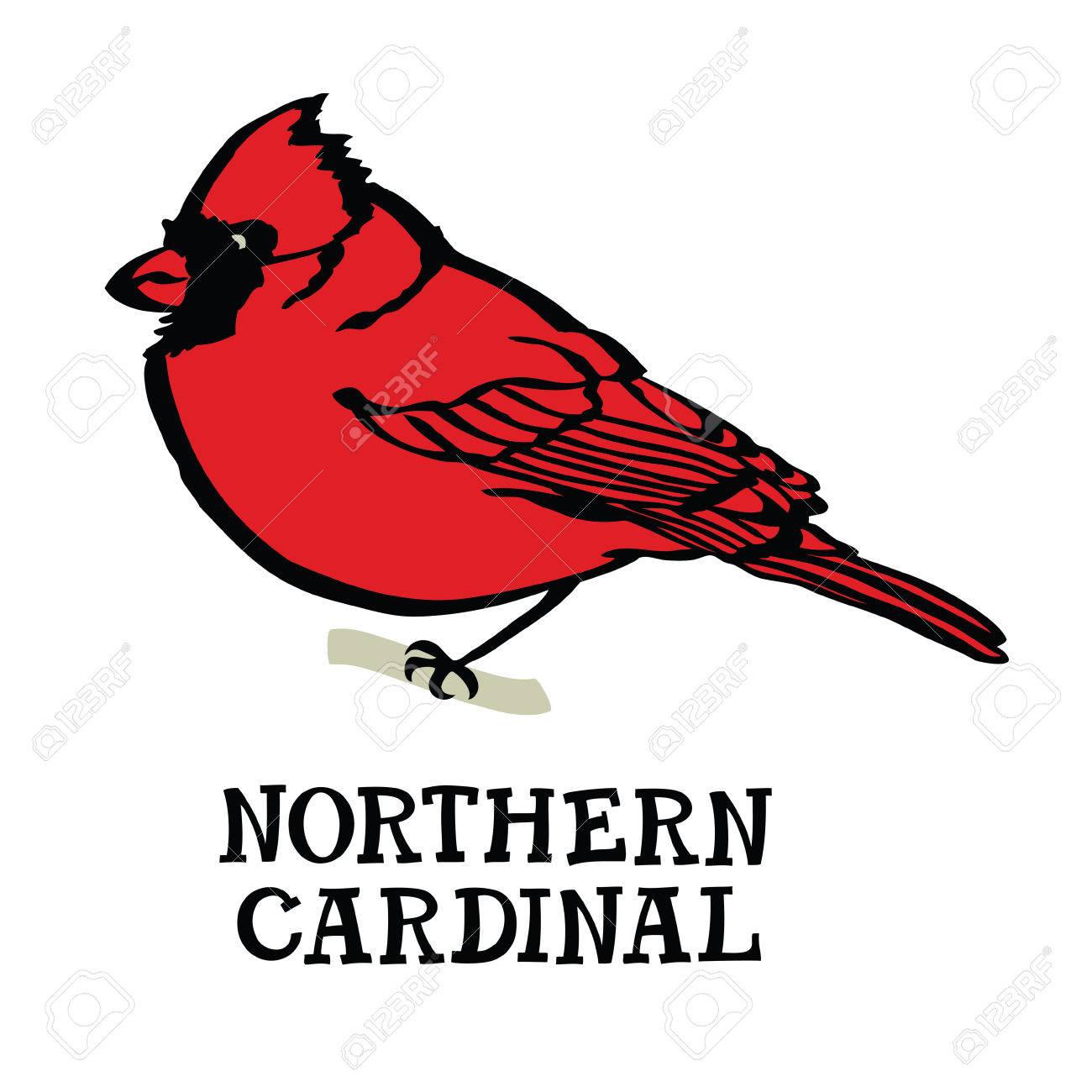 1300x1300 Drawing Cardinal Bird Step Abstract Images Flying Instructions