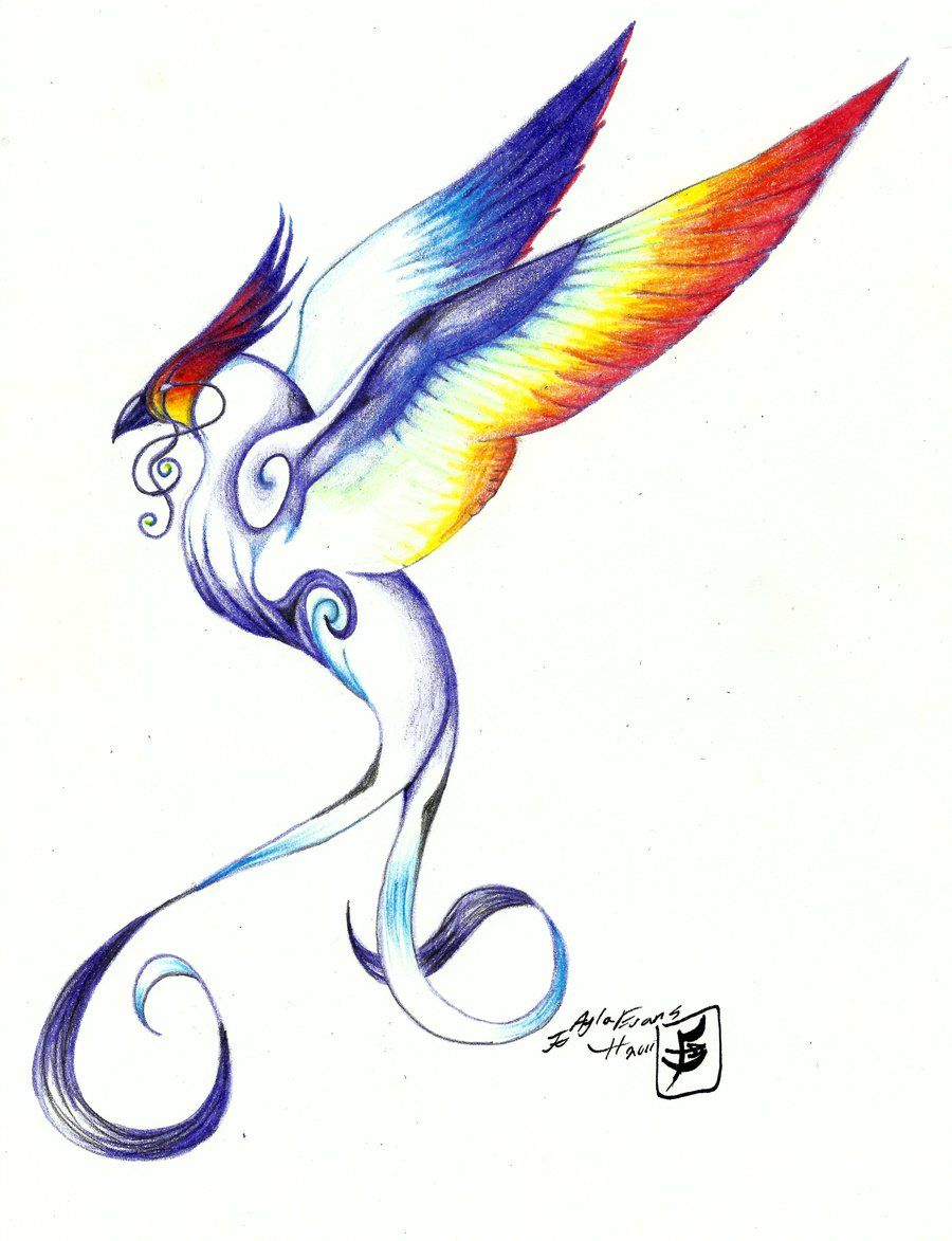 900x1173 Abstract Animal Drawings And Abstract Bird Drawing