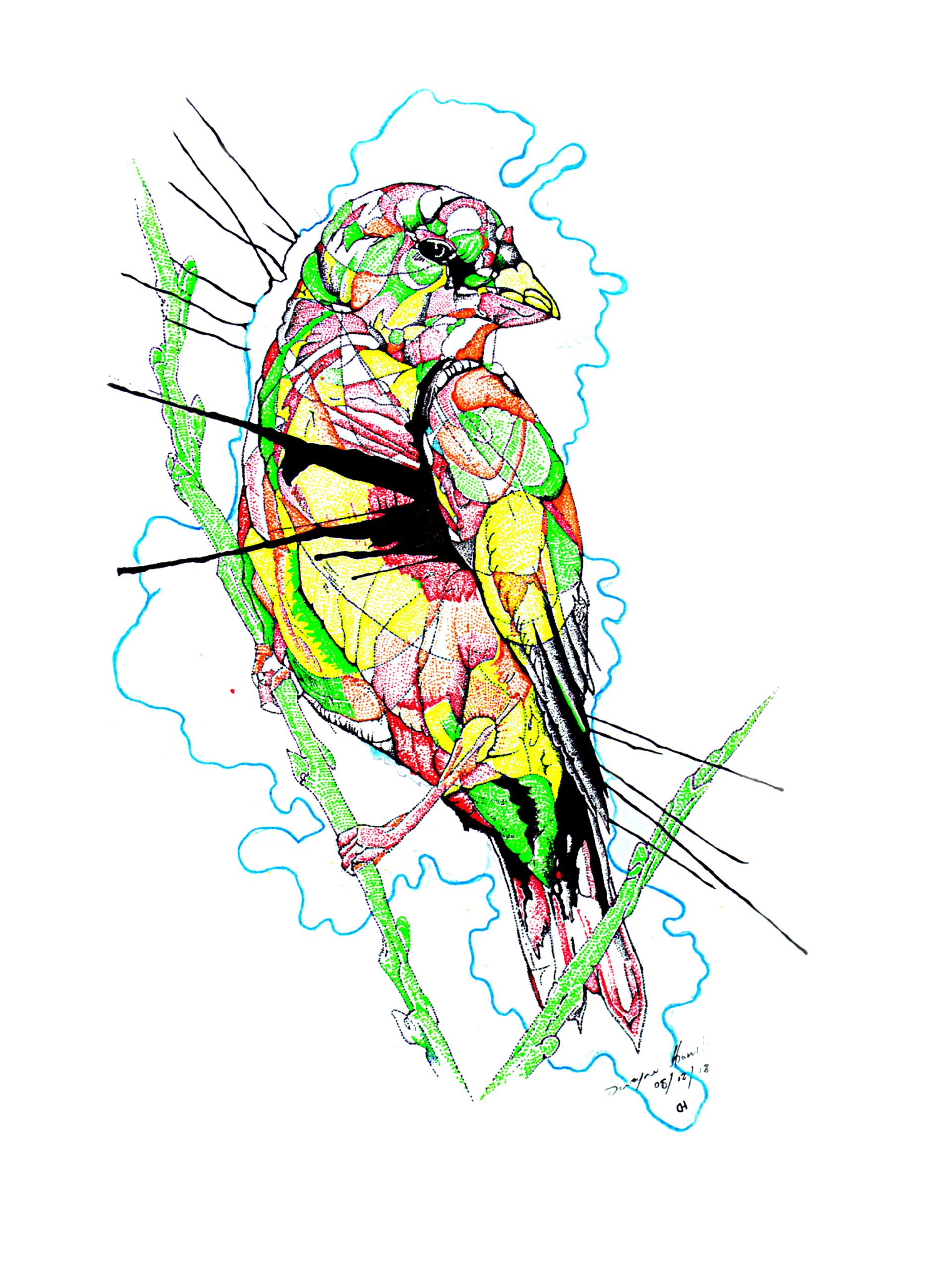 1920x2560 Abstract Bird Drawing