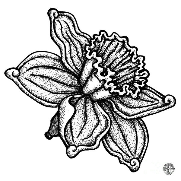 600x600 Abstract Structure Drawings