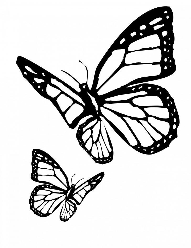 728x942 Butterfly Drawings Abstract Easy Step