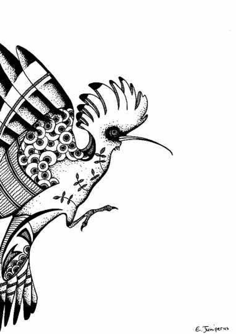 794x1122 Hoopoe Original Drawings Prints Balck And Whitebird Art Etsy