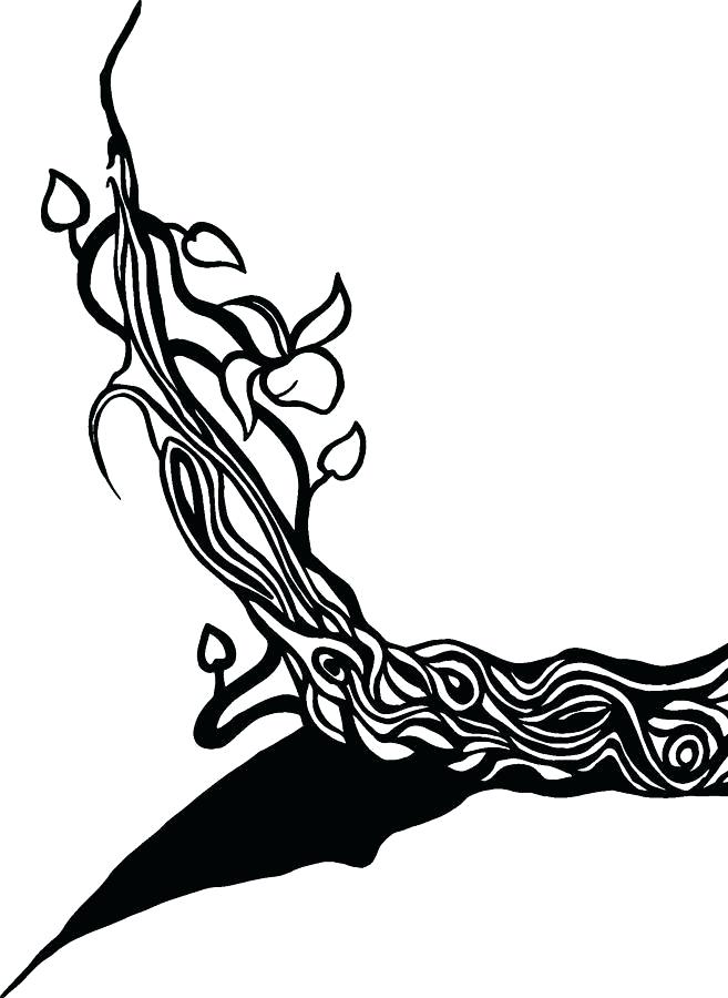 657x900 vines drawing flower on vines vines drawing png