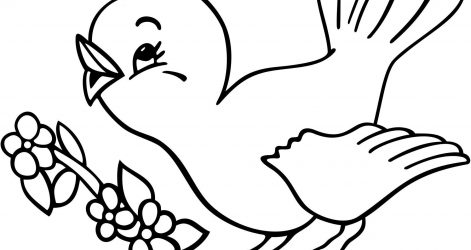 471x250 Bird Drawing Sketch Reference Box Gary Abstract Basic Step