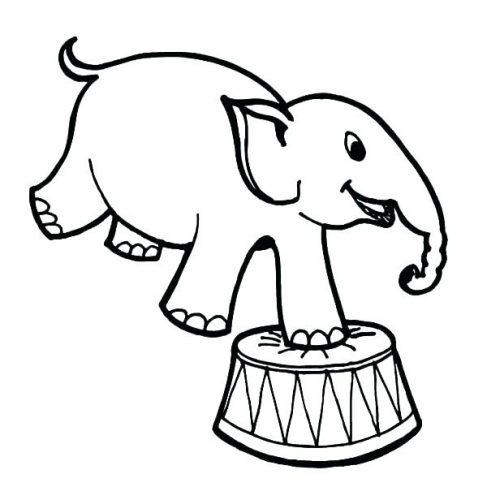 487x500 Coloring Pages Elephant Coloring Pages Abstract For Adults Free