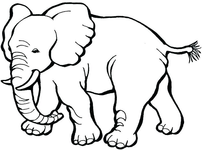 700x520 Elephant Coloring Pictures To Print Pages Elephants Printable