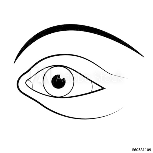 500x500 Abstract Vector Human Eye Illustration