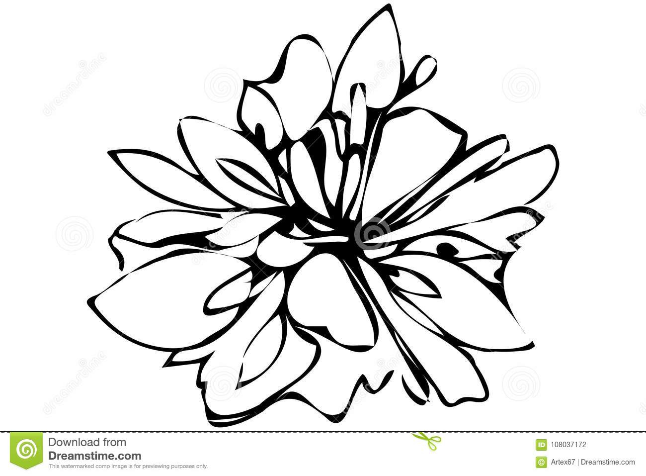 1300x957 Abstract Flower Sketch And Vector Sketch Abstract Flower Stock
