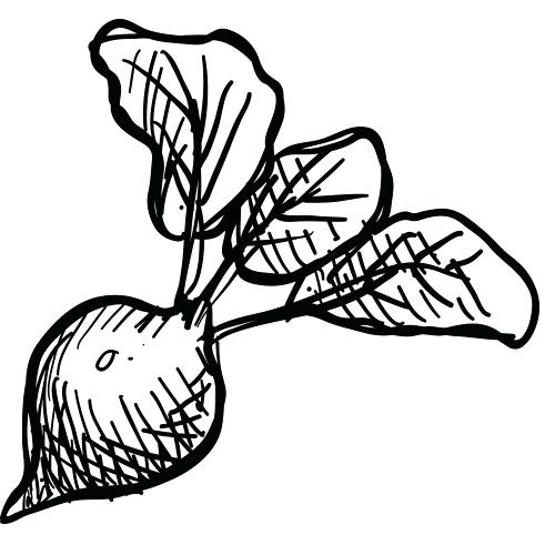 500x500 Black White Pencil Drawings Montyhollings