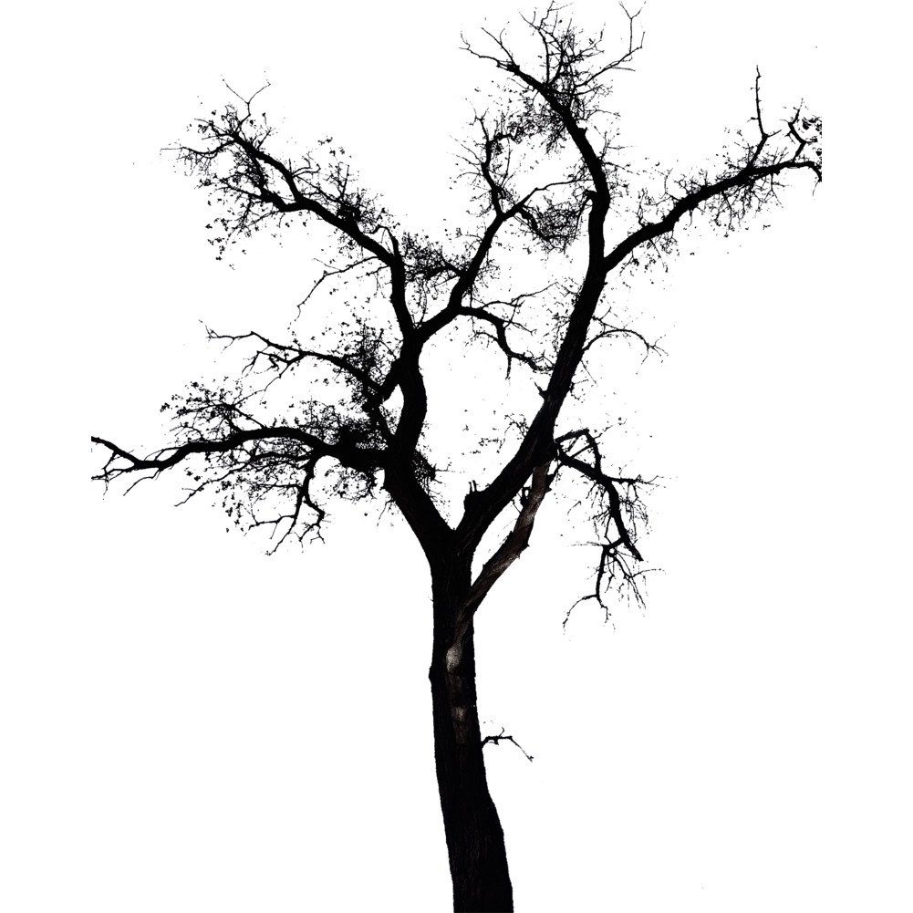 1001x1001 Abstract Tree Juniors' Graphic T Shirt