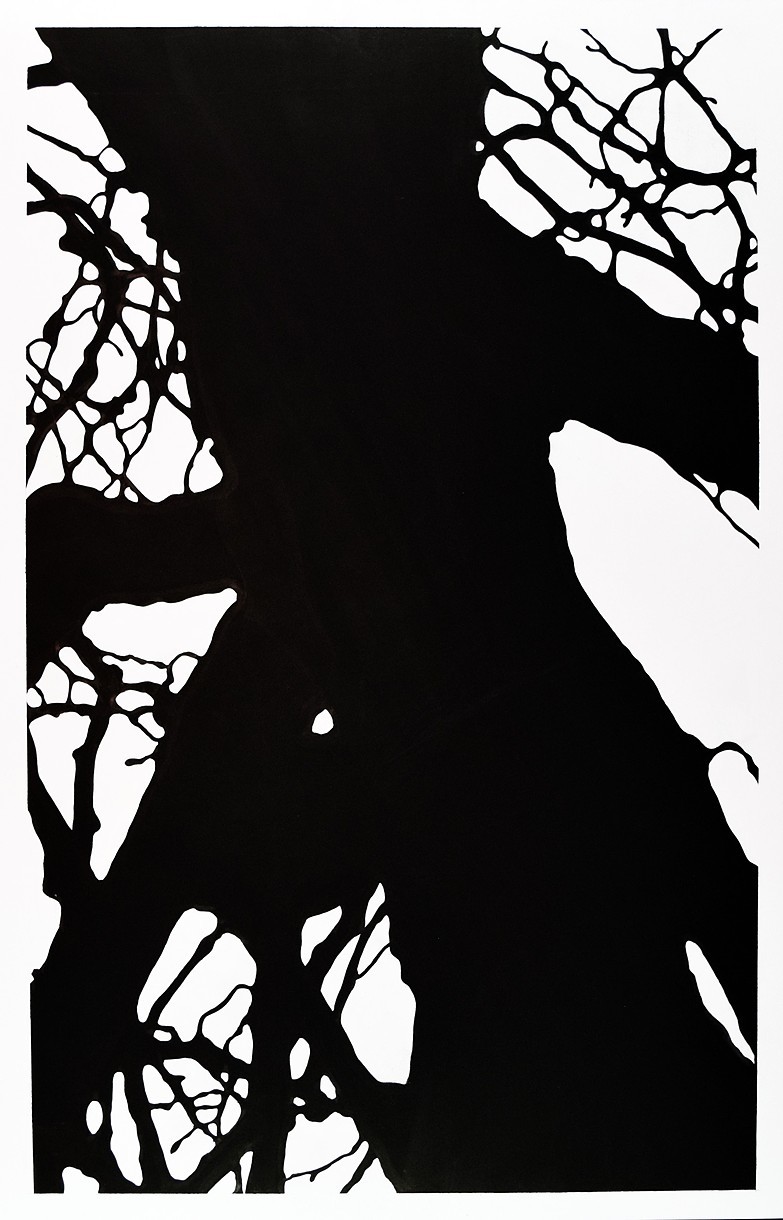 783x1220 Ian Crawley